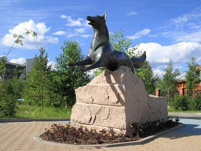 Памятник «Чёрный лис» — один из самых знаковых в городе. Он стоит прямо у входа в Историко-культурный центр «Старый Сургут». Лис почти точь-в-точь копирует изображение зверя на гербе Сургута. Бронзовая лисица была отлита в Санкт-Петербурге, в Международном центре культуры и искусства.